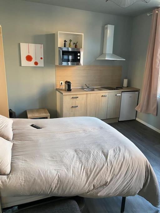 Cambrai:Magnifique Studio Экстерьер фото